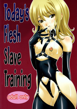 (C88) [Tairikukan Dandoudan Dan (Sakura Romako)]  Honjitsu no Nikudorei Choukyou | Today's Flesh Slave Training [English] [cdragon]